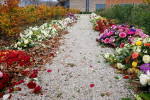 8 Crematorium